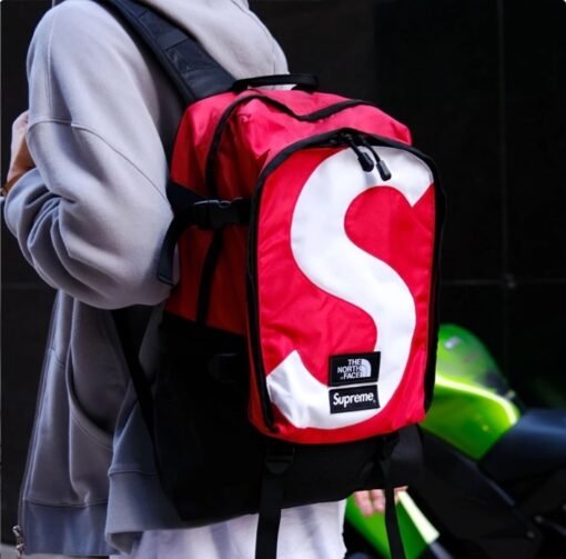 Supreme x The North Face - Image 2