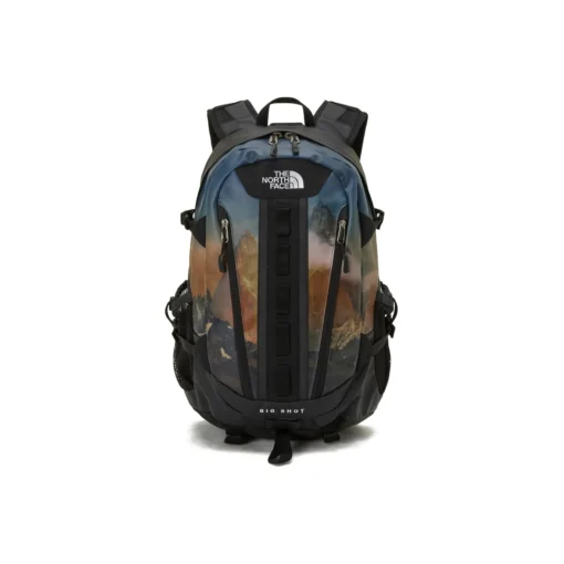 THE NORTH FACE BIG SHORT NOVELTY