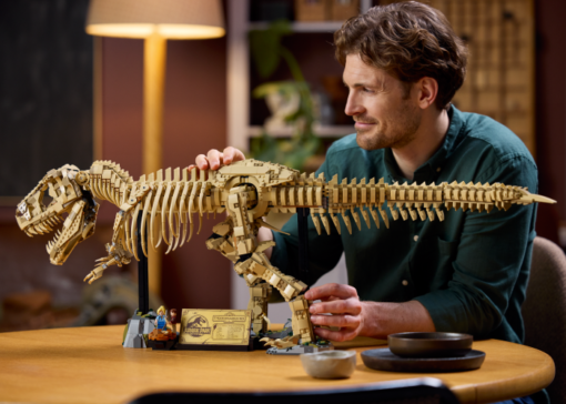 Dinosaur Fossils: Tyrannosaurus rex - Image 6