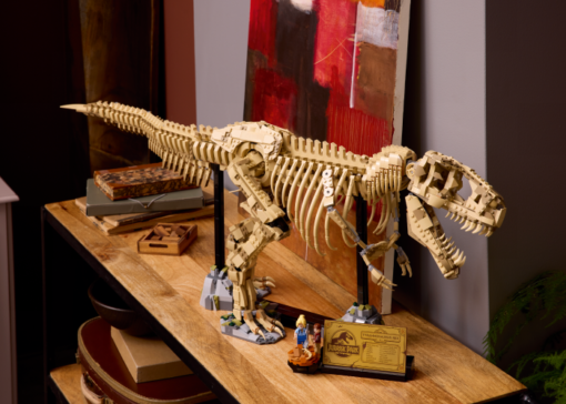 Dinosaur Fossils: Tyrannosaurus rex - Image 8