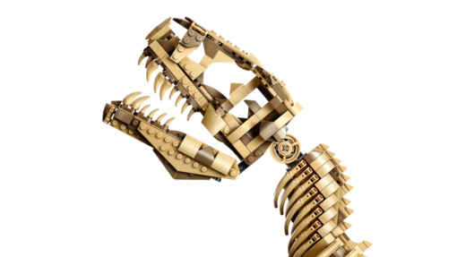Dinosaur Fossils: Tyrannosaurus rex - Image 9